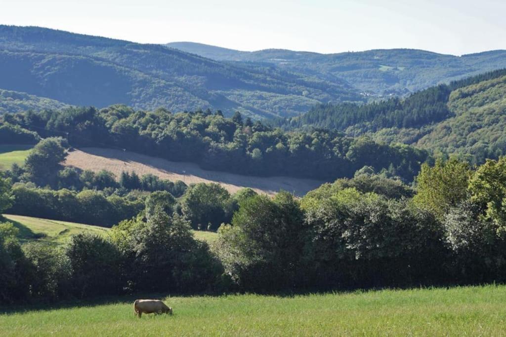 Ahoma, Sejour Bien-Etre, Calme Et Serenite. Labruguiere Exterior photo